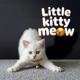 Pôster de Little Kitty Meow