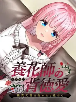 Pôster de Youkashi no Haitokuai: Junshin Tenshi ha Dakarete Iromeku