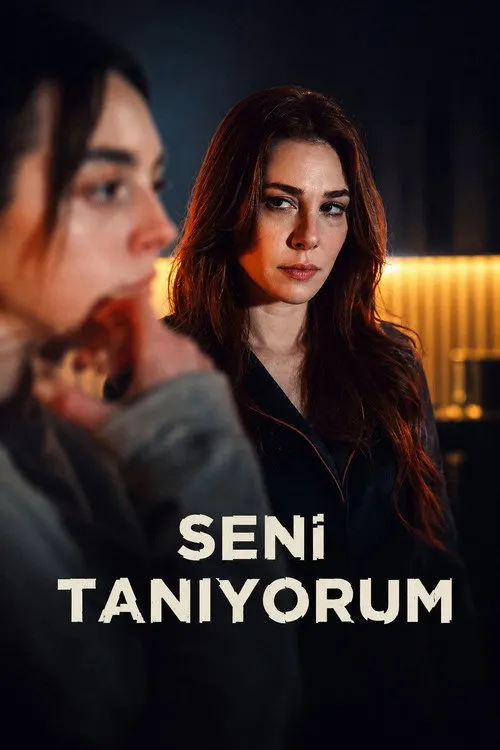 Pôster de Conheço Você (Temporada 1)